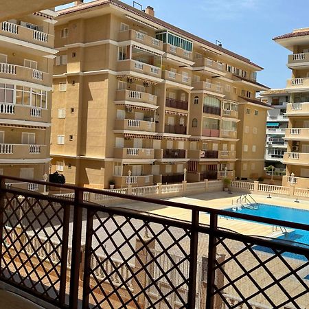 Cipres 4 Apartamento En Urbanizacion Con Piscina Torrevieja Buitenkant foto