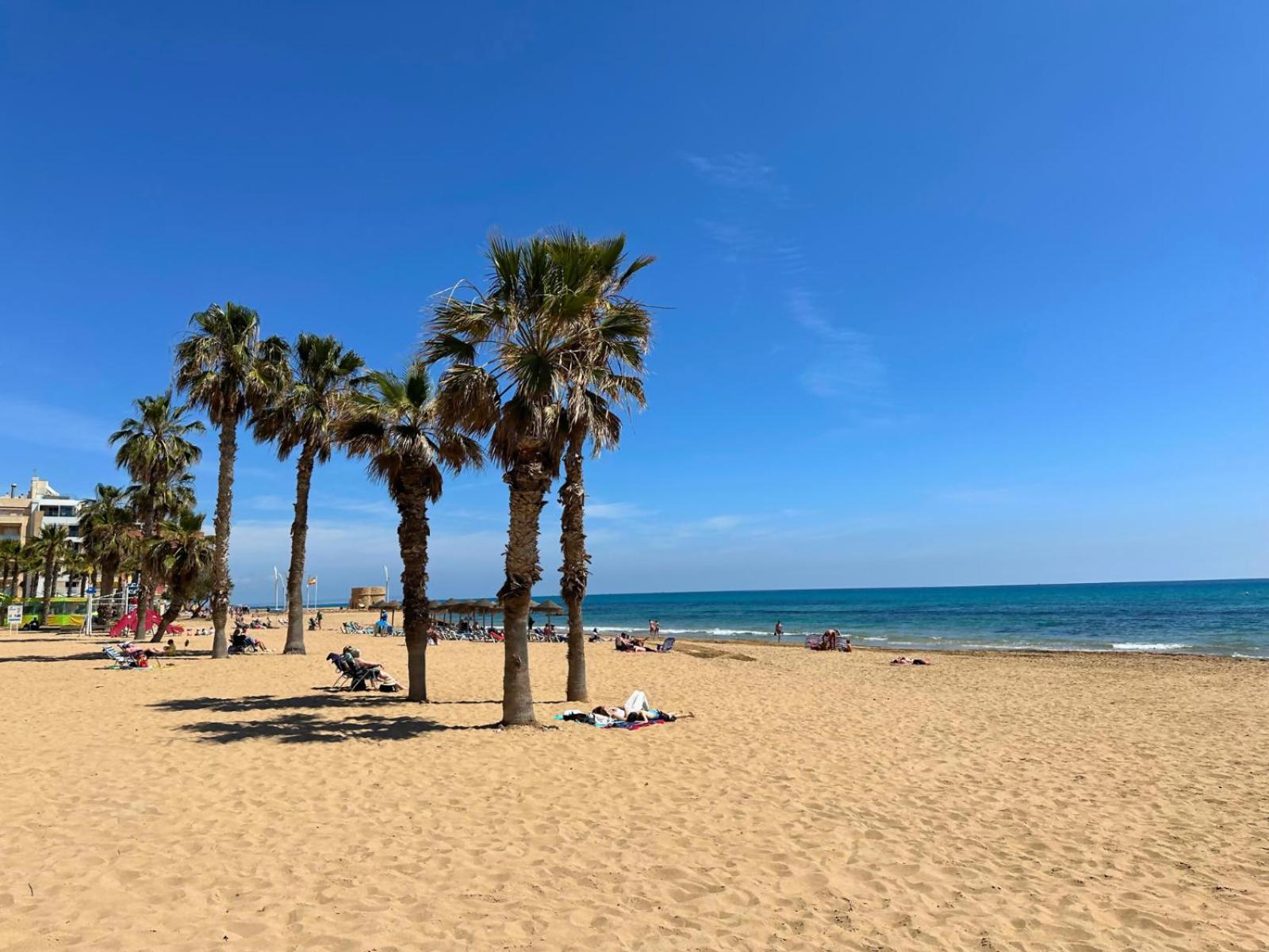 Cipres 4 Apartamento En Urbanizacion Con Piscina Torrevieja Buitenkant foto