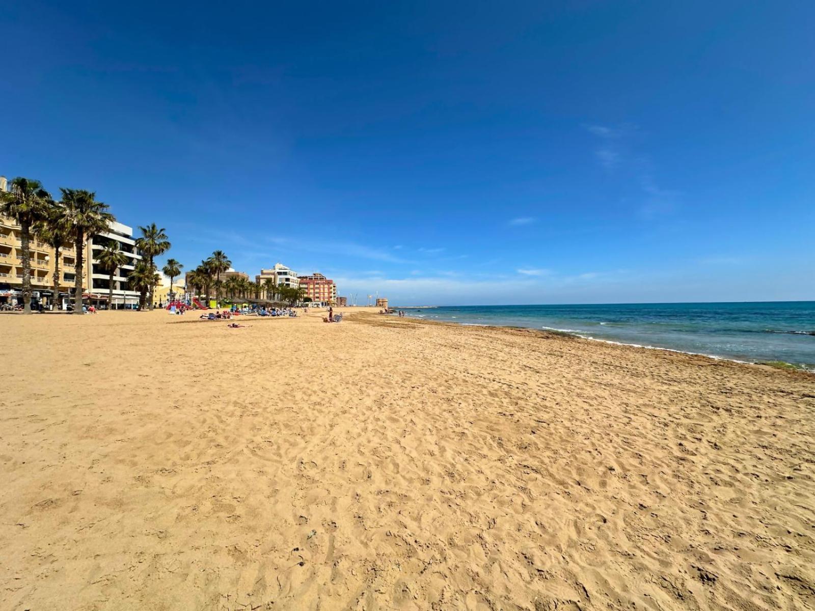 Cipres 4 Apartamento En Urbanizacion Con Piscina Torrevieja Buitenkant foto